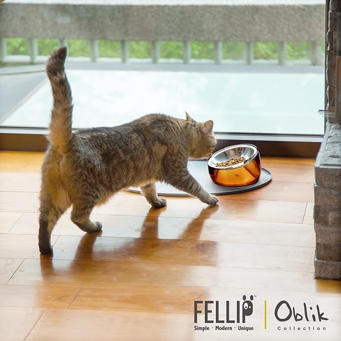 Felli Pet Oblik Whisker Fatigue Cat Food Bowl Raised Stainless Steel Shallow Dish, Pet Design Anti Vomit Tilted Metal Plate Feeder Elevated Acrylic Base for Treats Storage(Gold, 0.5 Cups Shallow Dish)