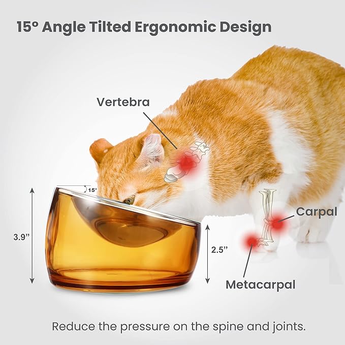 Felli Pet Oblik Whisker Fatigue Cat Food Bowl Raised Stainless Steel Shallow Dish, Pet Design Anti Vomit Tilted Metal Plate Feeder Elevated Acrylic Base for Treats Storage(Gold, 0.5 Cups Shallow Dish)