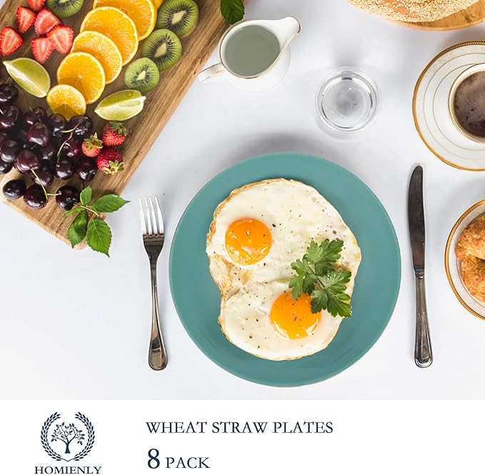 Homienly Flat Dinner Plates Set of 8 Alternative for Plastic Plates Microwave and Dishwasher Safe Wheat Straw Plates for Kitchen Unbreakable Kids Plates with Pattern (Multi, 9 inch), MS 01