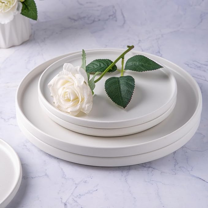 AmorArc Stoneware Dinner Plates Set of 6, 10.5 Inch Reactive Matte Glaze Ceramic Plates Set, Modern Dinnerware Dish set for Kitchen,Microwave, Dishwasher Safe, Scratch Resistant,Matte White