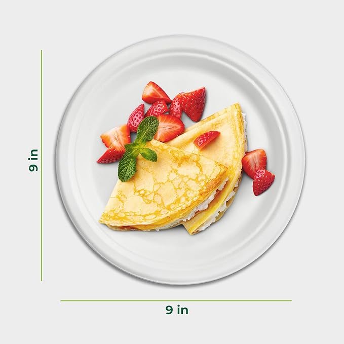 Freshware Paper Plates - Disposable 9" Plate, 500-Pack Biodegradable Sugarcane Dinner Plates - Heavy Duty Dinnerware for Hot Food - Microwave & Freezer Safe, Stackable Dinnerware