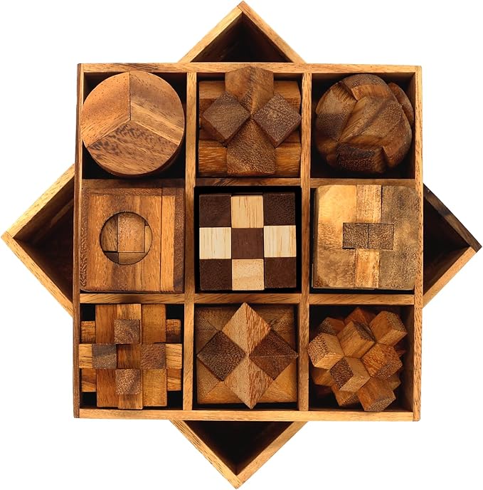 BSIRI 9 in 1 Wooden Brain Teaser Puzzles for Adults Teens Box Set Wood Hard Level 10 Impossible Mind Wood Brain Teaser Games 3D Hand Puzzle Sets for Decoration and Mini Toys
