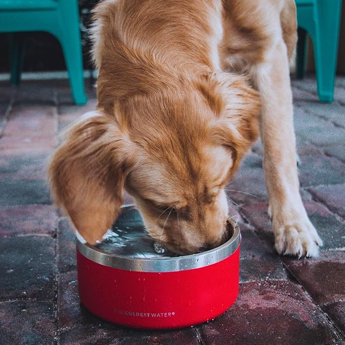 Coldest Dog Bowl - Anti Rust Metal, Non Slip, 3 Layers Insulated Stainless Steel Dog Bowls - Spill Proof & Heavy Duty - Water Bowl for Dogs, Cats & Pets, Dish Washer Safe (42 oz,Candy Red Glitter)