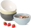 HASENSE Ceramic Cereal Bowls Set of 4, 26 OZ Soup Bowls, Embossed Stoneware Porcelain Bowls for Cereal, Soup, Oatmeal, Salad, Noodles & Rice, Microwave & Dishwasher Safe, Multi-Color