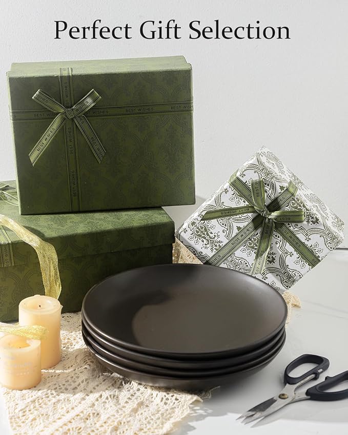 Dinner Plates Set of 4, 10 Inch Ceramic Plates - Stoneware Dinnerware Set for Pancakes, Scratch Resistant Black Plates, Microwave Oven and Dishwasher Safe for Steak, Noodle, Kitchen