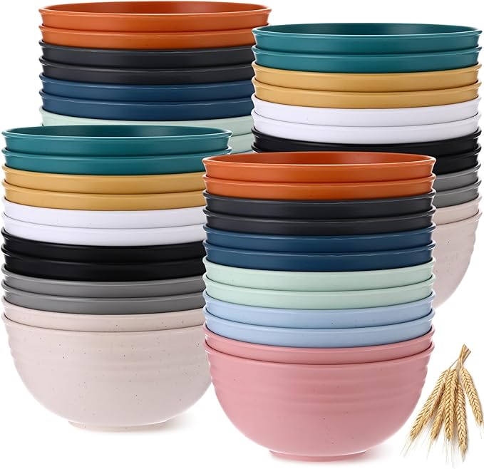 Eccliy 24 Pcs Wheat Straw Bowl Sets, Unbreakable Cereal Bowl 24 oz, Microwave and Dishwasher Safe Bowls for Cereal, Salad, Snack and Soup, Winter Style(Multicolor)