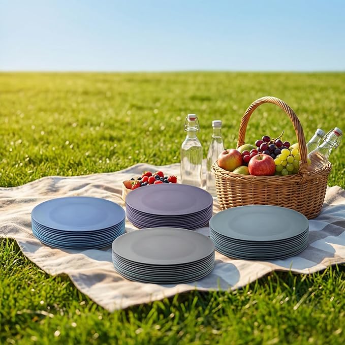 Plastic Dinner Plates Reusable, Unbreakable Salad Plates 10 inch set of 12, BPA Free Dishwasher & Microwave Safe Party Plate for Kids Kitchen Camper Outdoor (Grey Stone)