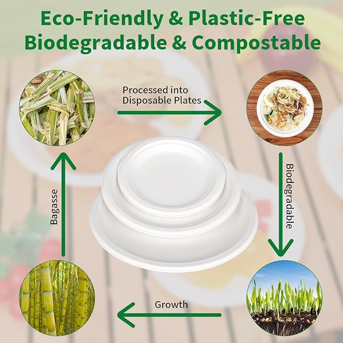 Aricsen 50 Pack 10 Inch Compostable Disposable Round Paper Plates, Natural White Biodegradable Sugarcane Bagasse PFAS-Free Eco-Friendly Dinner Plates for Party Wedding Picnic BBQ (50, 10 INCH)