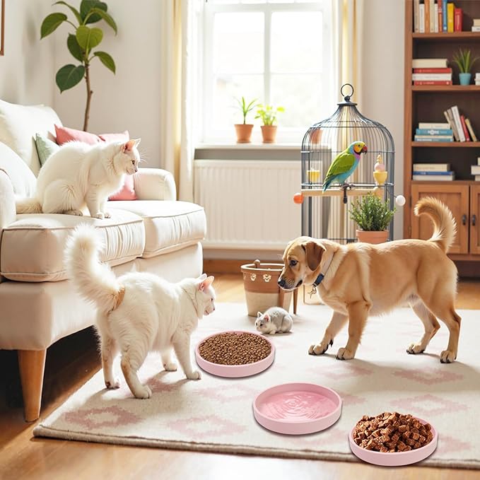 Silicone Dog Bowl Shallow Cat Food Bowls, 6 Inch Wide Cat Bowls Whisker Friendly, No Spill Less Mess Dog Plates for Dry and Wet Food, Set of 2 Puppy Bowls for Small Dogs and Cats