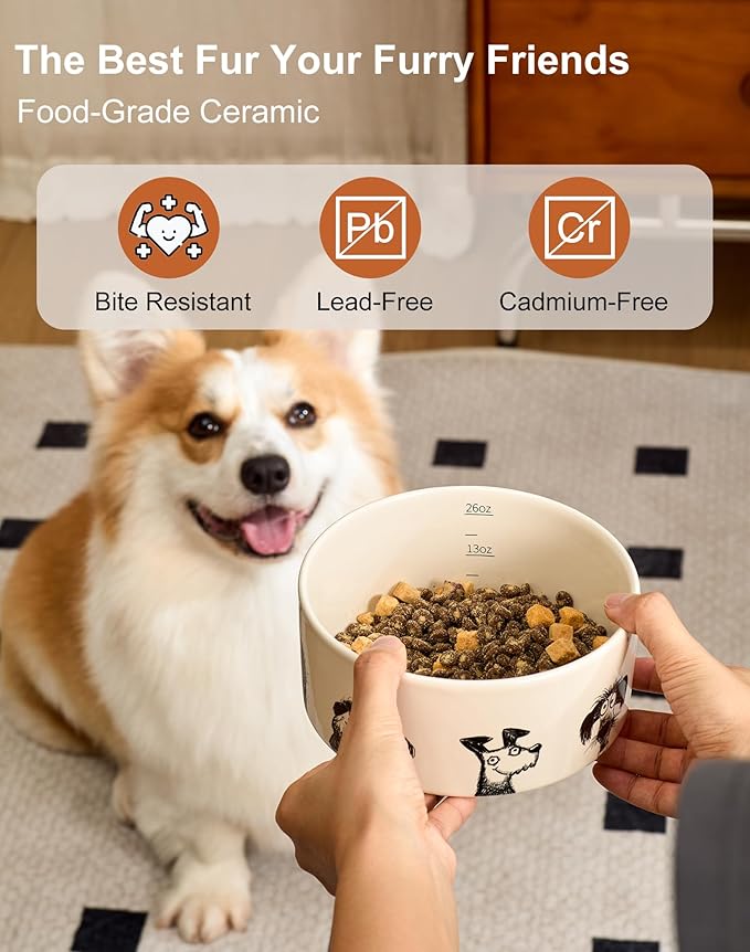 Ceramic Dog and Cat Bowl Set of 2 with Weighted Non-Slip Ring-1.6 Cups, Stoneware Food and Water Set, Pet Feeding, Microwave and Dishwasher Safe-Derpy-S 2pcs