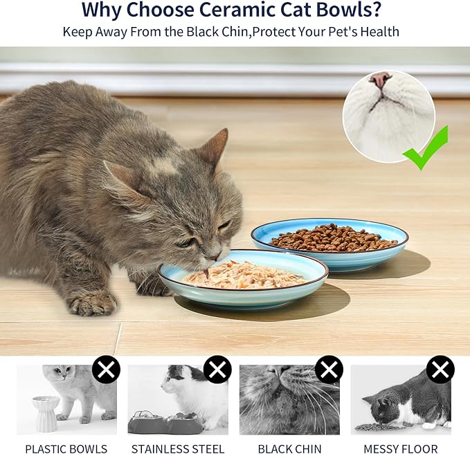 Selamica Ceramic Cat Food Bowl, 6 Inch Cat Bowls Whisker Friendly, Shallow Wide Kitten Plates for Food and Water, Set of 6, Gradient Blue