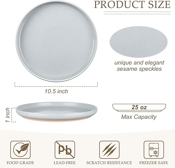 LIANYU 6Pcs Stoneware Dinner Plates, 10.5 Inch Large Porcelain Plates Set, Kitchen Ceramic Serving Dishes Set for Dining, Microwave, Oven & Dishwasher Safe, Scratch Resistant, Glacier Gray