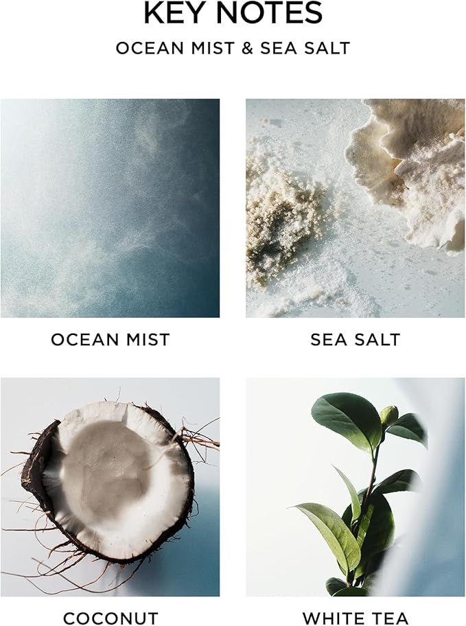 NEST New York Scented Classic Candle, Ocean Mist & Sea Salt - 8.1 oz - Up to 60-Hour Burn Time - Reusable Glass Vessel