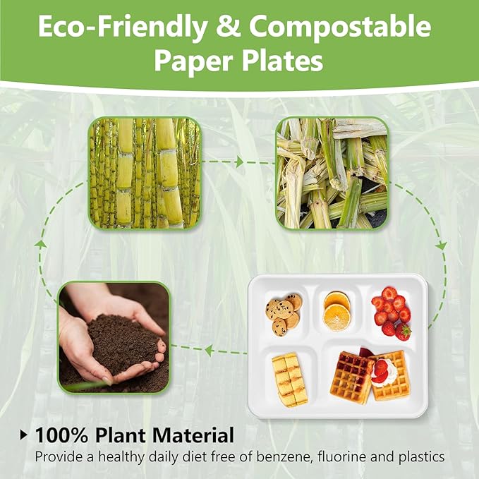 Compostable 5 Compartment Plates Disposable, 10.25 x 8.25 inch, [100-Pack] Heavy Duty Paper Plates with dividers, Sturdy School Lunch Trays, White Large Paper Dinner Plates for Buffet Party