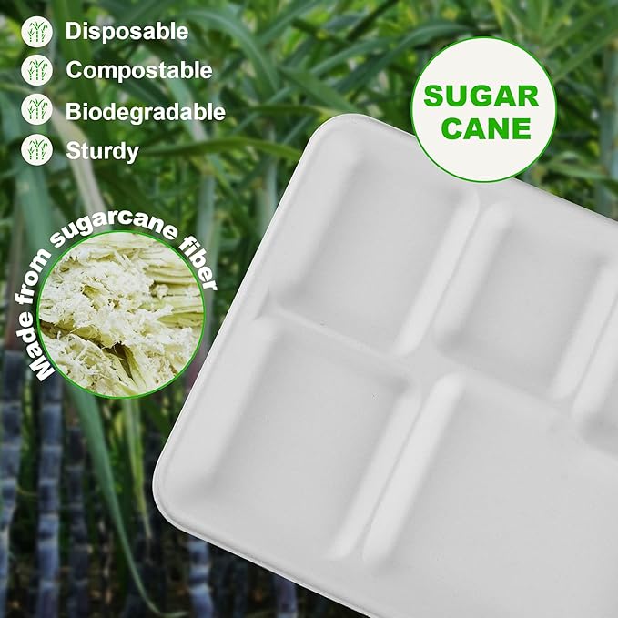 Go-Green 100% Compostable 5 Compartment Plates,Eco-Friendly Disposable Bagasse Tray,10 inch Heavy Duty School Lunch Tray,100 Pack
