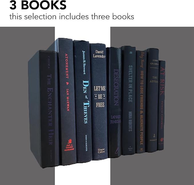 Real Books by Color® (Set of 3, Black Multi) Decorative Bookshelf Home Decor Shelf Styling Photo Prop