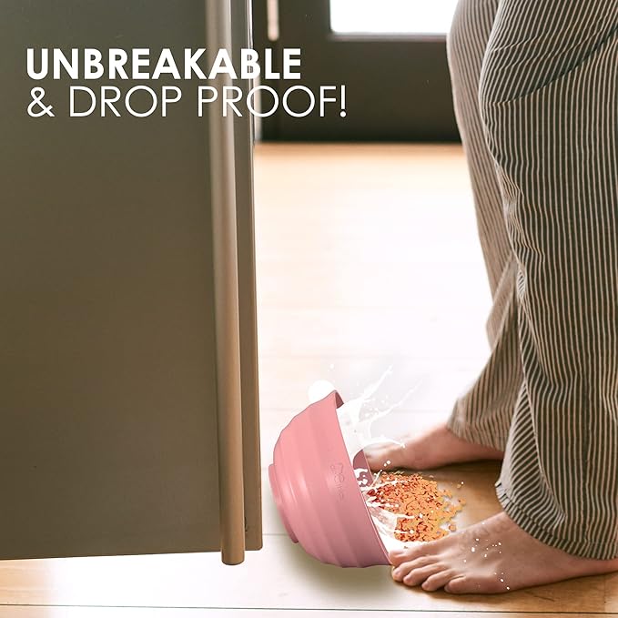 60-OZ 6 Large Wheat Straw Bowls - Large Salad, Fruit & Dinner Bowls - Dishwasher & Microwave Safe - Coral, Classic Style