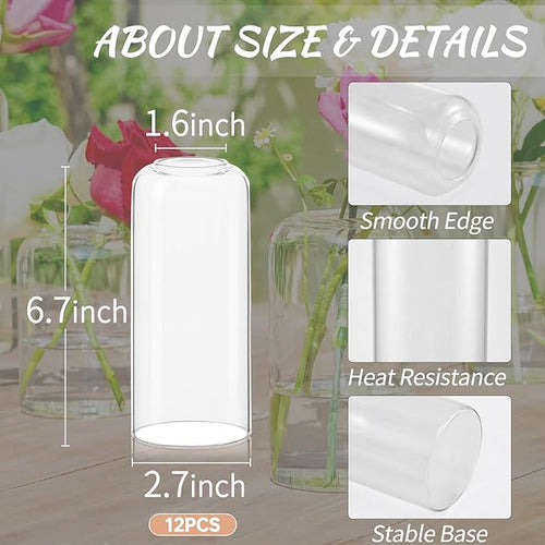 12pcs Glass Bud Vases - 6.7 Inch Tall Clear Flower Vases for Centerpieces, Glass Vase Modern Bud Vase for Wedding Party Dining Table Centerpieces, Living Room Decorative, Home Decor