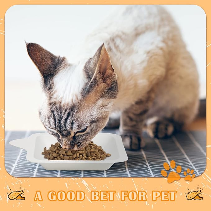 Remerry 300 Pcs Small 4 Inch Paper Plates Bulk Disposable Plates Paper White Square Dessert Cake Party Snack Sugarcane Bagasse Fiber Wedding Birthday Dinner Graduation Pet Feeding (4.41 x 5.24 Inch)