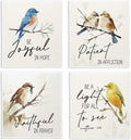 Bird Scripture Swedish Dishcloths for Kitchen, Swedish Dish Cleaning Cloths for Spring，Papaya Reusable Paper Towels, 4 Pack Dish Towels for Kitchen, Reusable Paper Dishcloths Washable