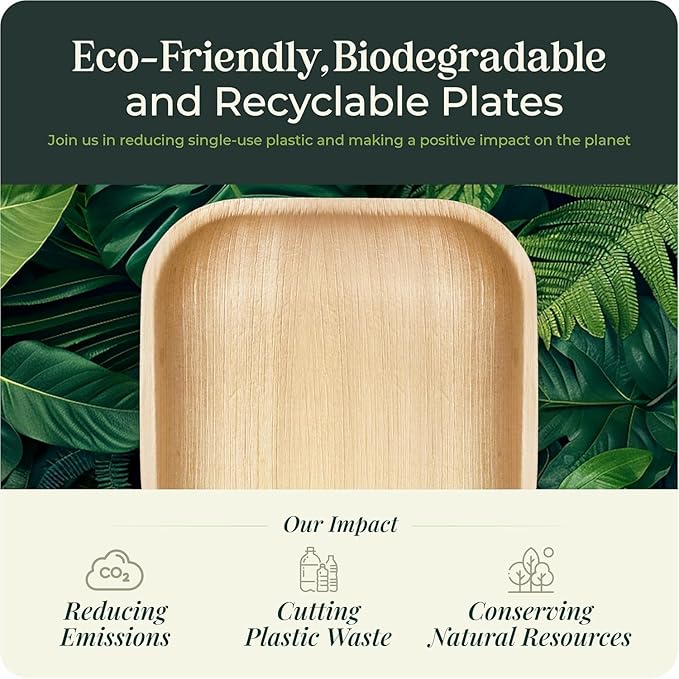 Palm Leaf Plates Bamboo Paper Disposable 2.5 Inch Small Mini Sushi Square Party Plates 100 Pack Bulk Biodegradable Compostable Elegant Alternative To Wooden Plastic Plate By KoalaLove