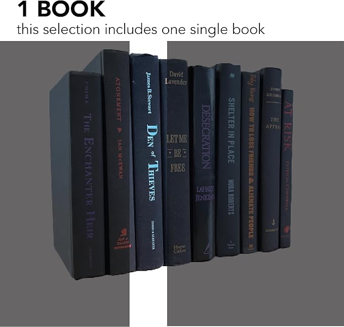 Real Books by Color® (1 Single, Black Multi) Decorative Bookshelf Home Decor Shelf Styling Photo Prop