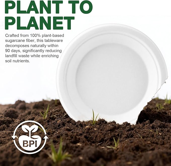 Compostable Paper Plates 250 Count 9in & 6in Disposable Dinner Dessert Salad Plates Heavy Duty Party Supplies for Birthday Holiday White
