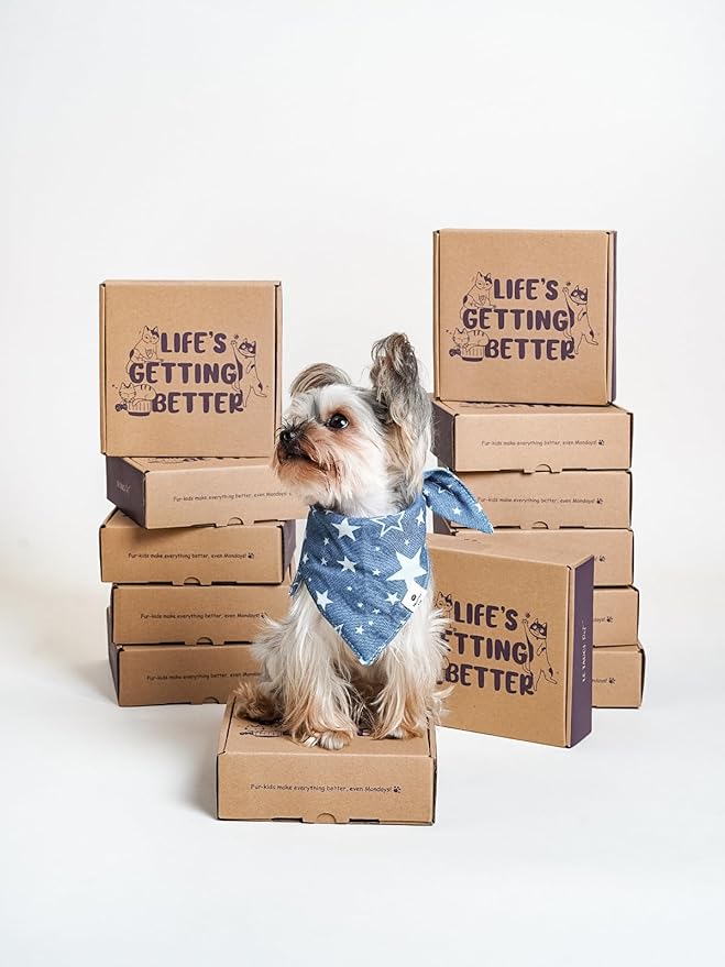 LE TAUCI PET Ceramic Slow Feeder Dog Bowls Small Breed, 0.5 Cups Dog Food Dish for Fast Eaters, Puzzle Bowl for Small Dogs and Cats, 5.5 Inch-Blue