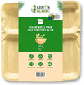 Areca Palm Leaf 11-Inch Square Plates (75 Count) – 100% Compostable, Biodegradable Like Bamboo Plates | Eco-Friendly Disposable Dinnerware | Microwave & Oven Safe