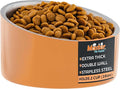 Master Pet Supply Stainless Steel Slanted Dog Cat Food Bowl - 16 oz Heavy Duty - Mango Tango, Double Wall Insulated, Non-Slip Elevated Bowl for French Bulldogs Pugs Cats, Anti Rust Dishwasher Safe