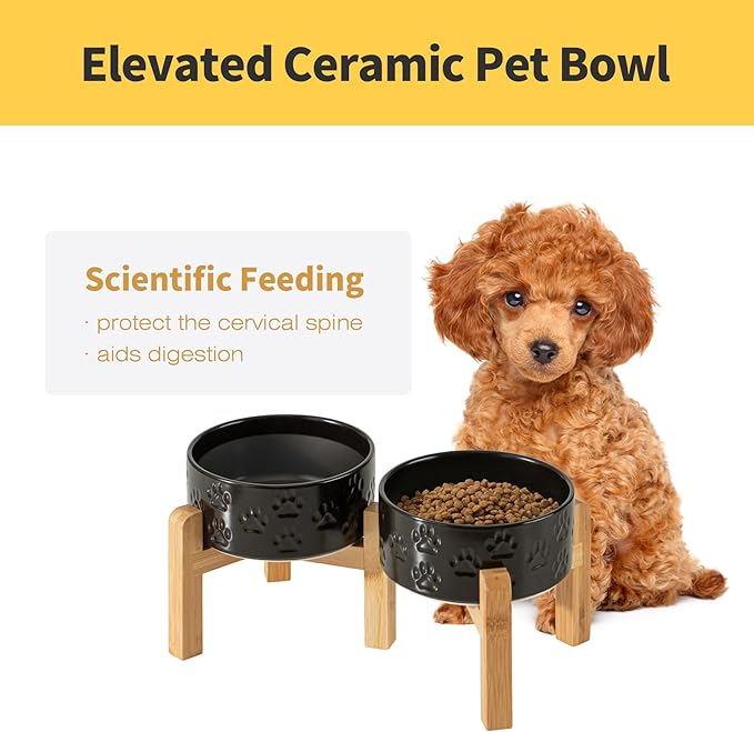 Elevated Ceramic Dog Bowl Set, 6" Dog Bowls with Dual Fixed Heights Stand, 3.5 Cup Food and Water Bowls for Small Breed Dogs, Microwave Safe (Double Bowls + Stand - Black, 6 inch)
