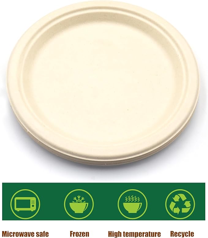 10 Inches Disposable Plate, 10" Biodegradable Paper Plates, Pack of 120