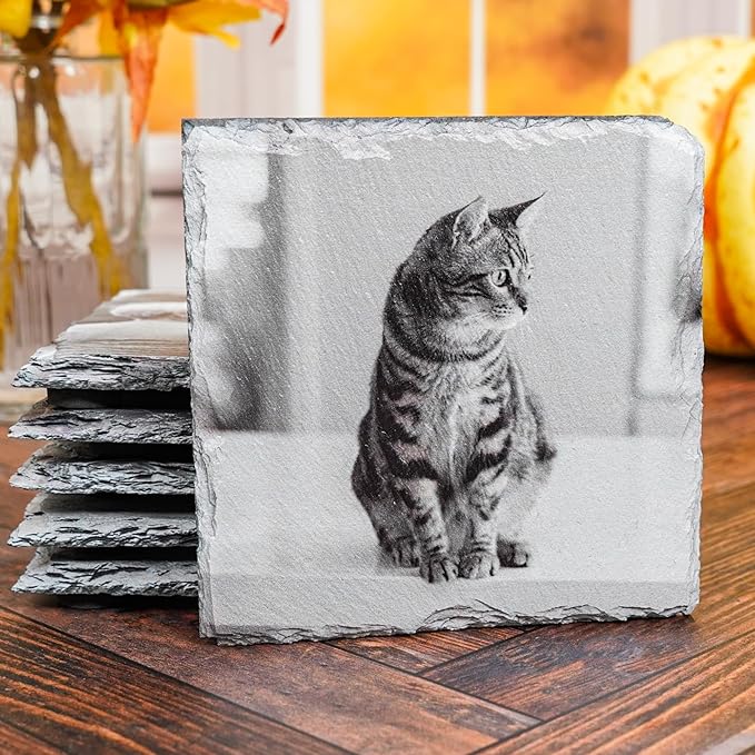 Blue Ridge Mountain Gifts - Set of 4 Custom Pet Coasters Printed with Photos of Your Cat, Memorial Gift for Cat Lovers, Square Ceramic Coaster for Pet Owners