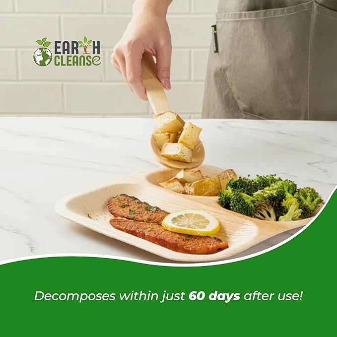 Areca Palm Leaf 11-Inch Square Plates (25 Count) – 100% Compostable, Biodegradable Like Bamboo Plates | Eco-Friendly Disposable Dinnerware | Microwave & Oven Safe
