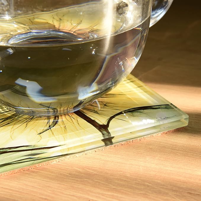 Empire Art Direct 12 PCS Flower Coasters for Drinks, Cup Coaster for Tabletop Protection, Coffee Table Coaster Set, Glass Floral Coasters Set with Cork Bottom by Albert Koetsier B3
