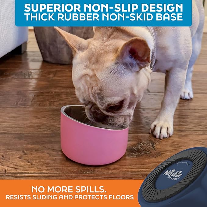 Master Pet Supply Stainless Steel Slanted Dog Cat Food Bowl - 8 oz Heavy Duty - Navy Blue, Double Wall Insulated, Non-Slip Elevated Bowl for French Bulldogs Pugs Cats, Anti Rust Dishwasher Safe