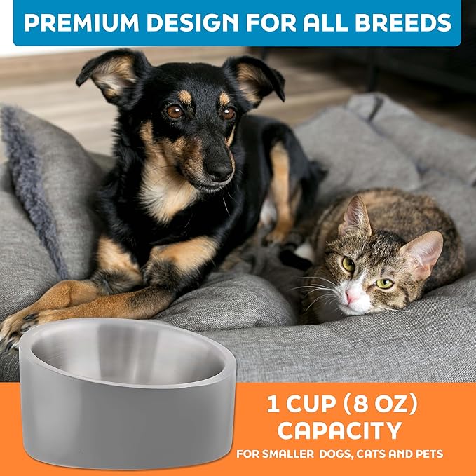 Master Pet Supply Stainless Steel Slanted Dog Cat Food Bowl - 8 oz Heavy Duty - Graphite, Double Wall Insulated, Non-Slip Elevated Bowl for French Bulldogs Pugs Cats, Anti Rust Dishwasher Safe