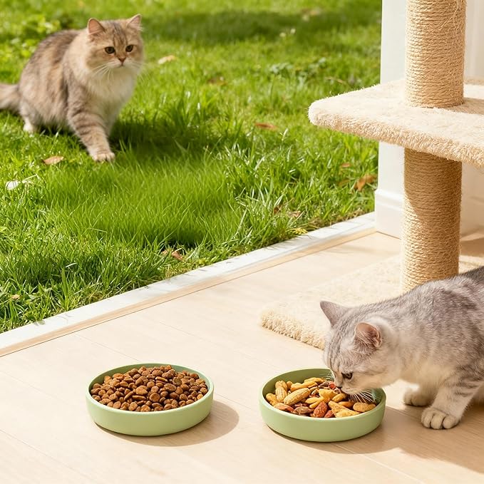 Silicone Cat Bowl Set of 2 Shallow Cat Dishes Small Non-Slip Pet Dog Bowls for Dry & Wet Food, Whisker Fatigue (Round Green)