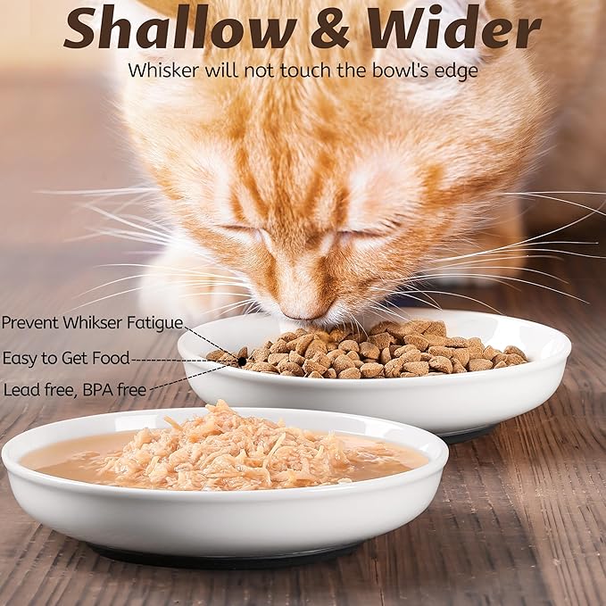 No Spill Cat Bowls,Cat Food Bowl,Anti Whisker Fatigue Healthy Ceramic Cats Dishes Set for Indoor Cats,Shallow Wide Kitten Plates for Food and Water,Non-Slip Silicone Bottom,6 Pack