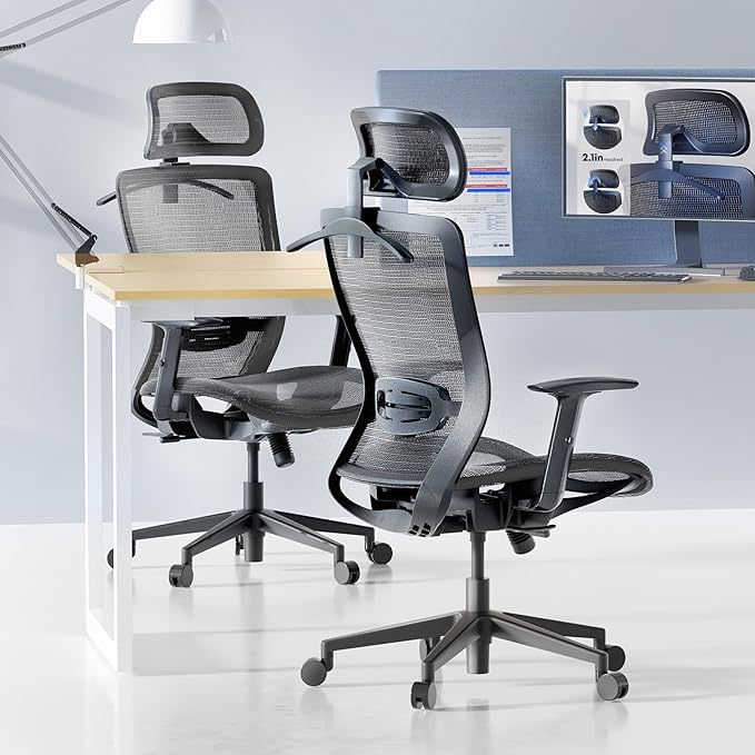 FLEXISPOT Ergonomic Office Chair, High Back Mesh Swivel Computer Chair, Executive Office Desk Chairs, with Adjustable Lumbar Support/2D Headrest/Lockable Backrest, OC3 Mesh Seat, Gray