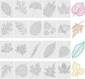 Wonderjune 20 Pcs Leaf Rubbing Plates 3.94 x 5.12 Inches Texture Art Supplies Texture Plates for Home, 20 Style