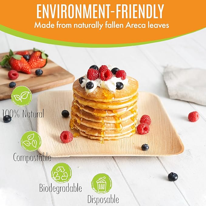 Raj Eco Compostable Palm Leaf Plates Like Bamboo Plates Disposable - 8 Inch Square 50 party plates, Natural wooden, Eco-Friendly, fancy Biodegradable & Disposable Dessert appetizer Plates