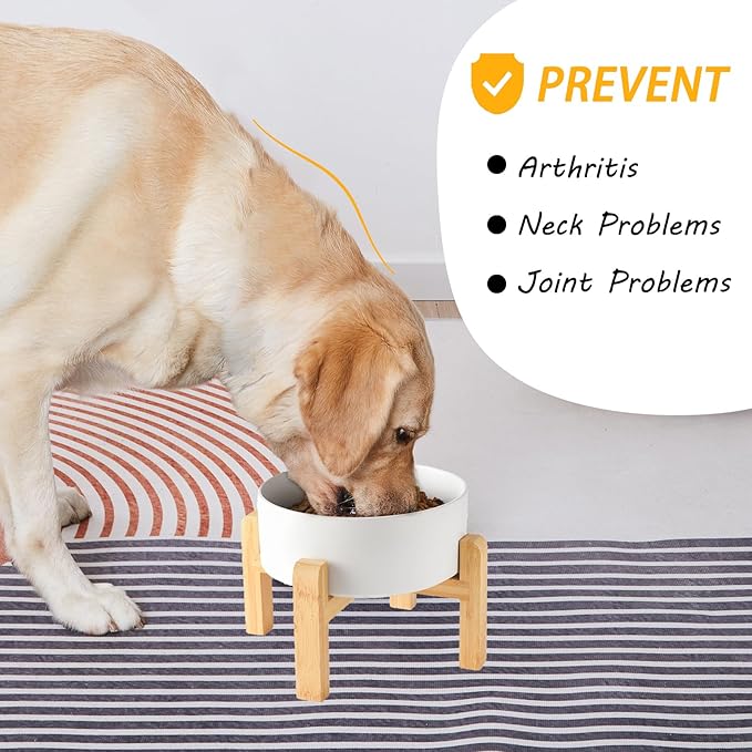 6'' Ceramic Raised Dog Bowl - 30Oz Dog Food & Water Bowl with Elevated Non-Slip Bamboo Stand, Dishwasher & Microwave Safe, Anti Vomiting Heavy Duty Pet Bowl for Small and Medium Dogs, White