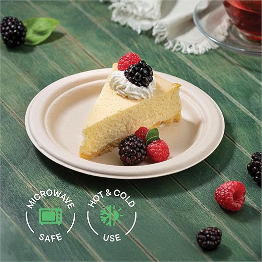 100% Compostable Paper Plates 9 Inch [500 Count] Heavy-Duty Dinner Plates - Natural Brown Color Unbleached Bagasse - Eco-Friendly Disposable Biodegradable Sugarcane Plates - [Bulk Case 4 x 125 Pack]