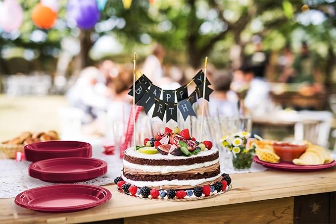 Burgundy Plastic Plates For Party 10" Burgundy Disposable Plates Heavy Duty Supplies 100 Pieces Plastic Dinnerware Sets Heavy Duty 350 GSM Disposable Dinnerware Set