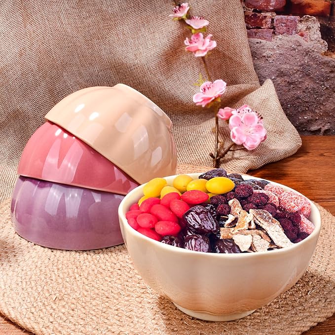 Ceramic Rice Bowl Set of 4 Porcelain Sushi Bowls for Sushi Sauce 4.72 Inch Assorted Colors Microwave Safe Smooth Glazed Finish Simple Design