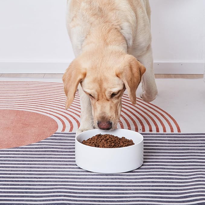 6'' Ceramic Dog Bowl - 30Oz Classic Dogs Food & Water Bowl for Small and Medium Breed Dogs, Heavy Duty Non-Slip Dog Dishes, Food Grade Stoneware Pet Bowl, Dishwasher & Microwave Safe, White