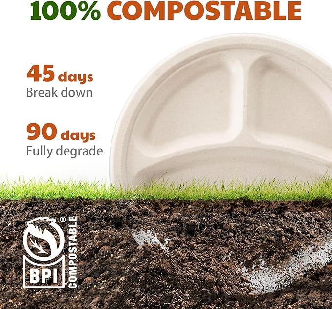 Compostable 3-Compartment Paper Plates, 125 Count, 10 Inch, Heavy Duty Disposable Divided Lunch Trays, Biodegradable Bagasse Sectional Plates for Buffet, Parties, Events & Daily Use, (Nature)