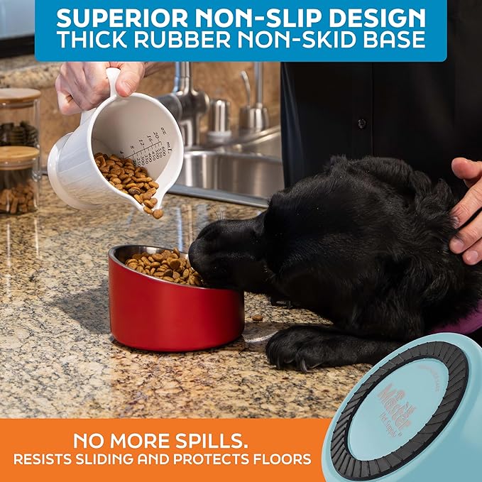 Master Pet Supply Stainless Steel Slanted Dog Cat Food Bowl - 16 oz Heavy Duty - Aqua Sky, Double Wall Insulated, Non-Slip Elevated Bowl for French Bulldogs Pugs Cats, Anti Rust Dishwasher Safe