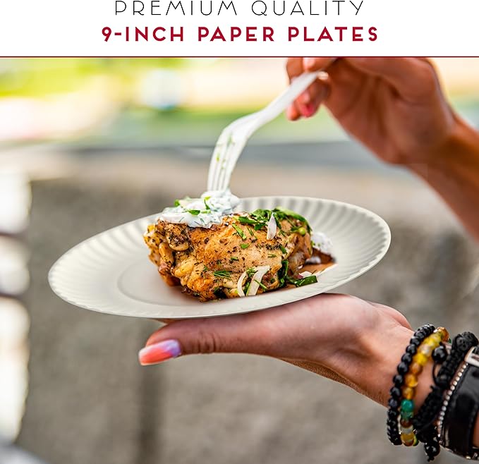 9-Inch Disposable Paper Plates - 300 Count - Bulk Pack of Uncoated Paper Plates for Everyday Use - Dinnerware for Meals, Parties And Picnics